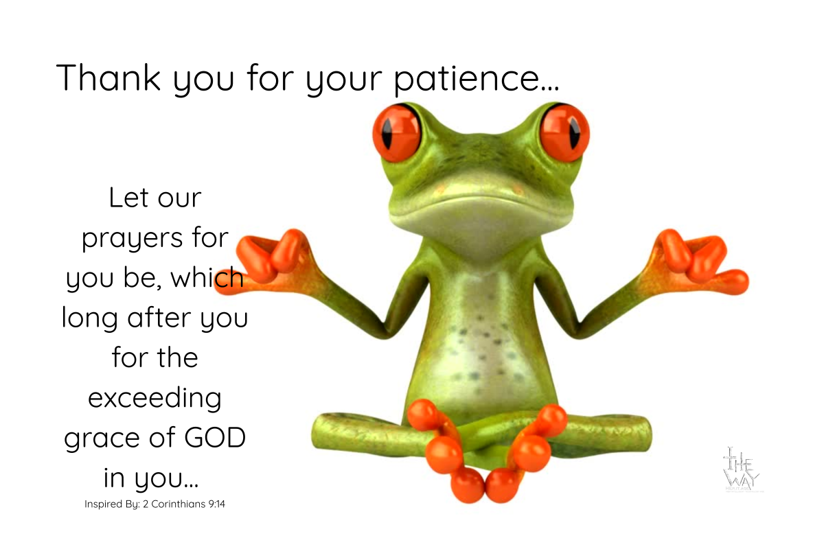 2COR 9:14 Frog ThankYOU Postcard