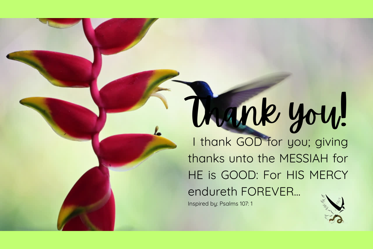 PSLMS 107:7 Humming BIRD ThankYOU Postcard