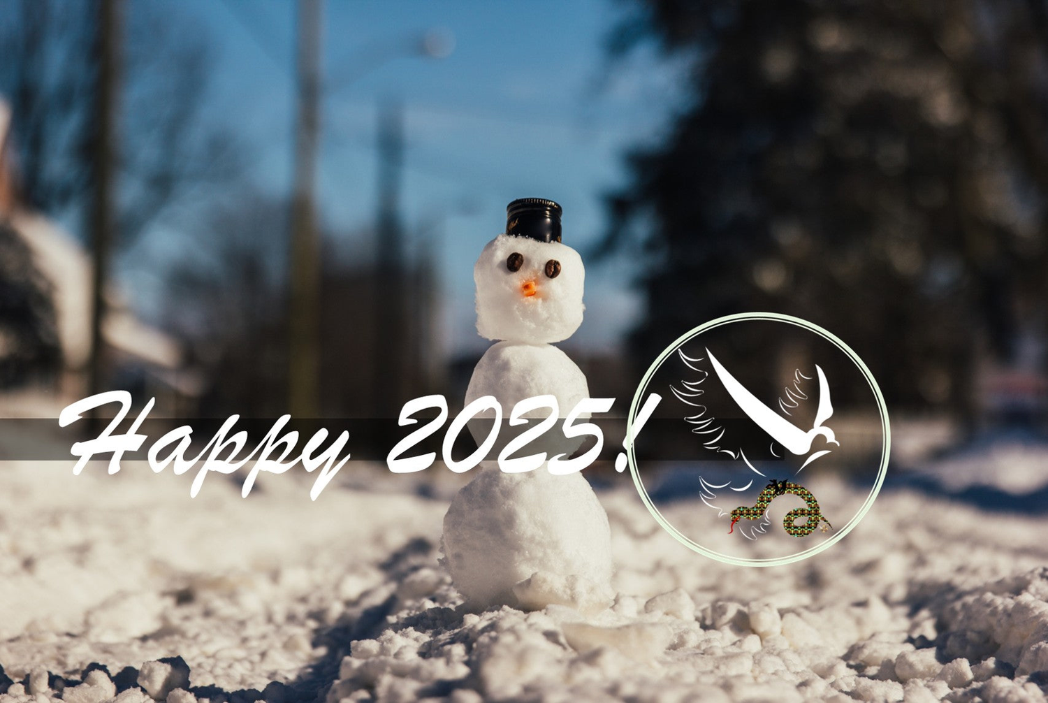 Happy 2025 DoveWise Brand Snowman January Afternoon