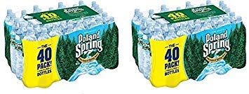 Poland Spring Brand 100% Natural Spring Water, 16.9 oz Plastic Bottles (Pack of 24)