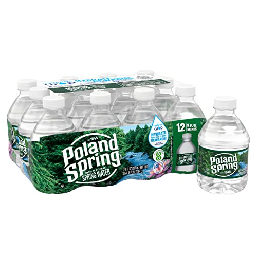 Poland Spring Brand 100% Natural Spring Water, 16.9 oz Plastic Bottles (Pack of 24)