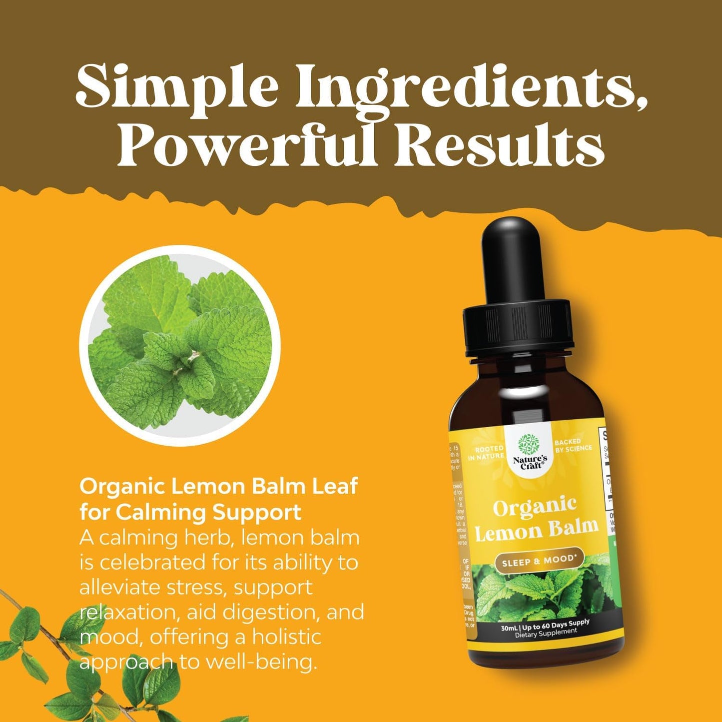 Lemon Balm Extract for Immune Support - Organic Lemon Balm Tincture for Mood Support and Digestive Health for Adults and Kids Vegan Non-GMO Lemon Balm Oil for Enhanced Relaxation and Concentration