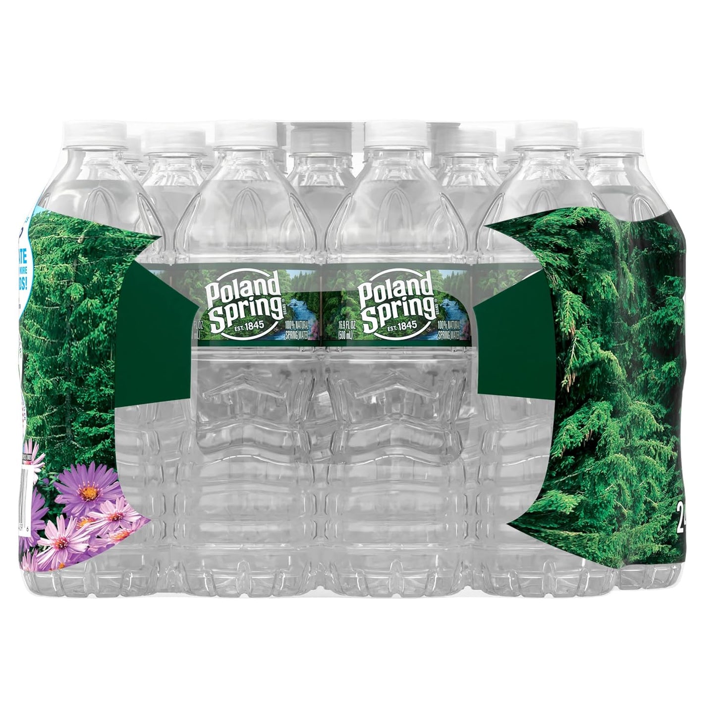 Poland Spring Brand 100% Natural Spring Water, 16.9 oz Plastic Bottles (Pack of 24)