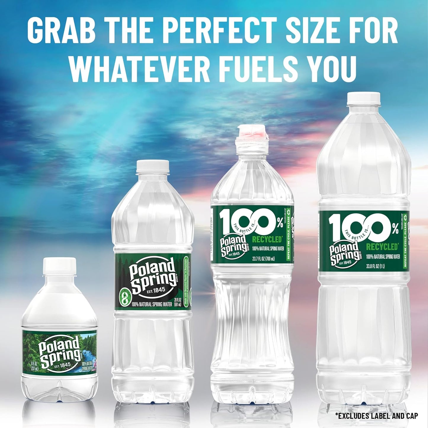 Poland Spring Brand 100% Natural Spring Water, 16.9 oz Plastic Bottles (Pack of 24)