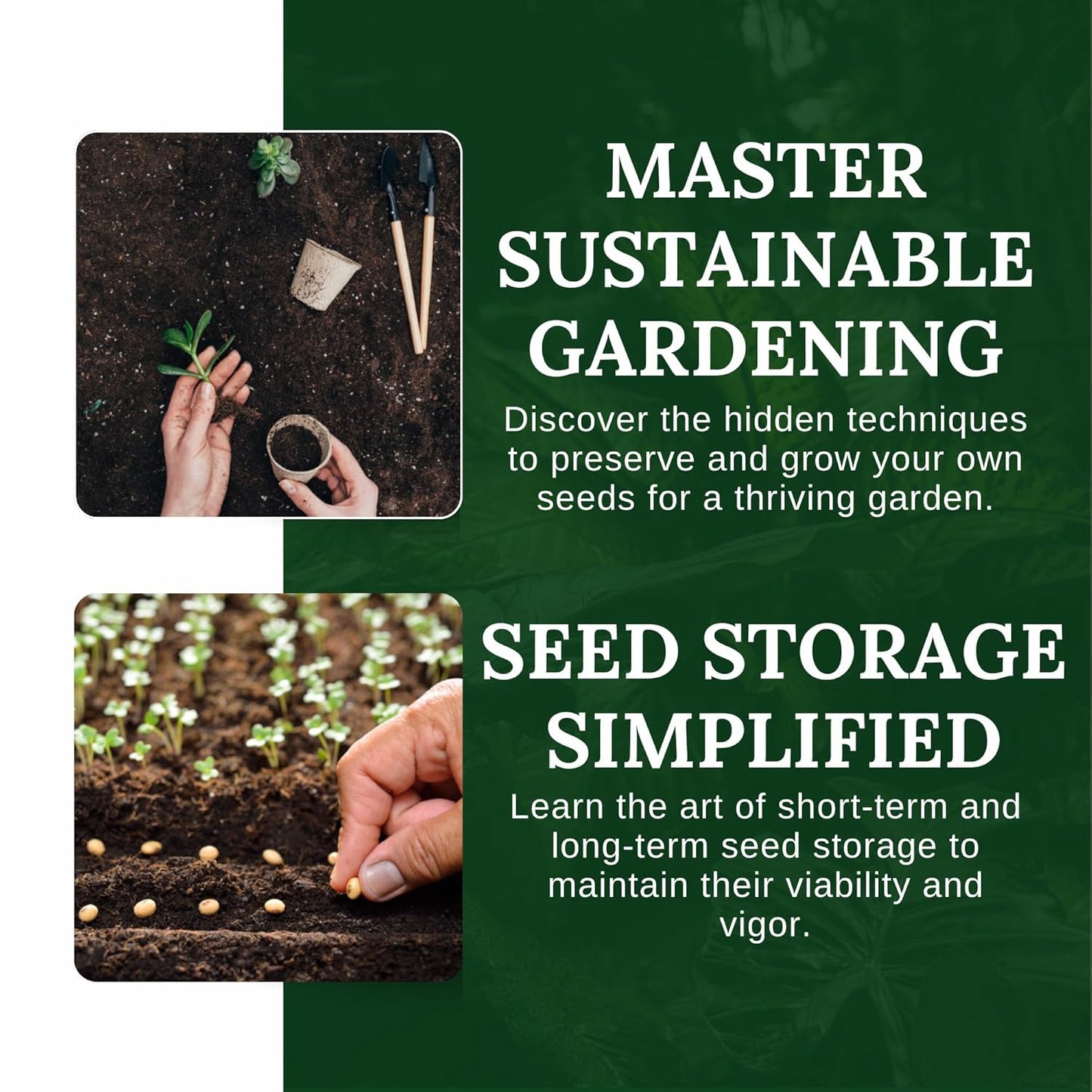 Seed Saving Secrets [All-in-1]: 31 Essential Techniques & Tips for Preppers and Gardeners. Master Harvesting, Storing, and Growing Seeds - Keep Your Vegetables & Flowers Thriving for Years!