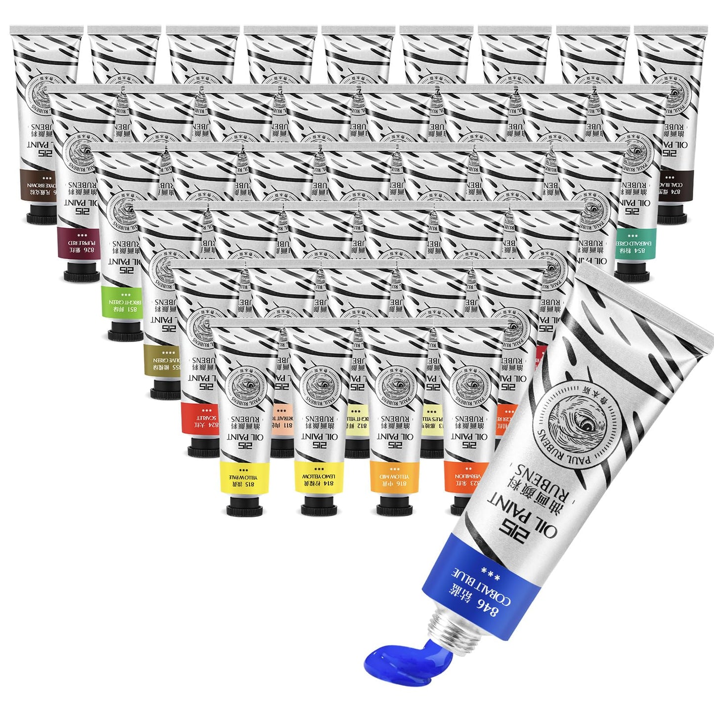 Paul Rubens Oil Paint, 20 Colors*50ml LargeTubes, Professional Oil Based Paint with High Saturation, Creamy Texture, and Consistency,Oil Paint Supplies for Artists, Students, Beginners-A Set