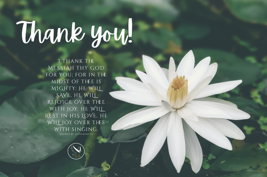 ZEP 3:17 ThankYOU Postcard